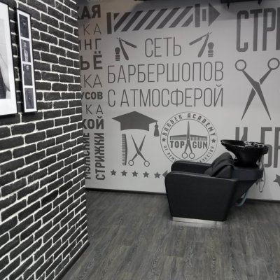 TOPGUN Электросила