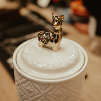 Lucky LLama