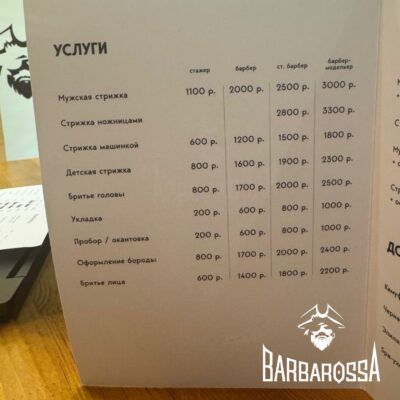 BarbarossA Академика Павлова